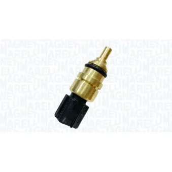 Sonde de température, liquide de refroidissement MAGNETI MARELLI 171916011900