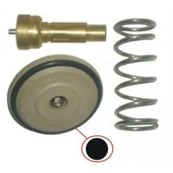 Thermostat, liquide de refroidissement MAGNETI MARELLI