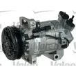 Compresseur, climatisation VALEO 813381 - Visuel 1