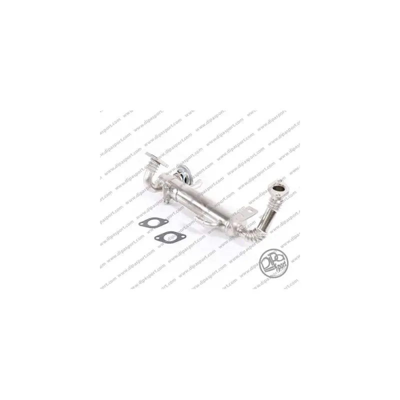 Vanne EGR DIPASPORT EGR202DPSN