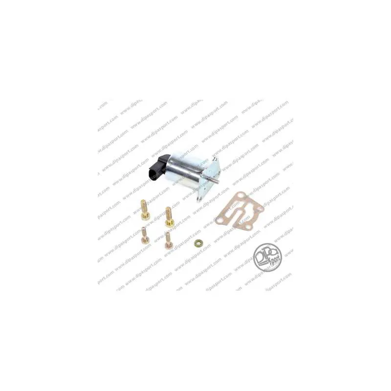 Vanne EGR DIPASPORT EGR429N
