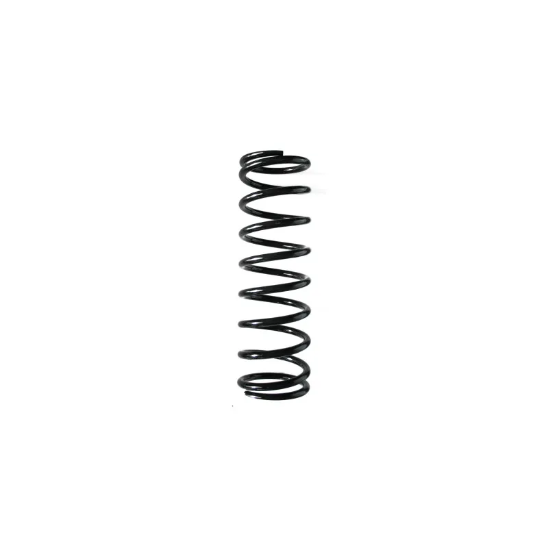 Ressort de suspension SPIDAN 49076