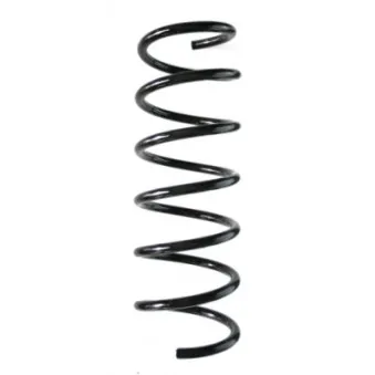 Ressort de suspension SPIDAN 49184