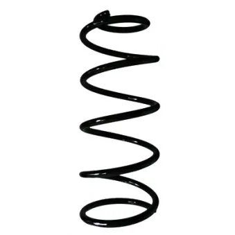Ressort de suspension SPIDAN 49508