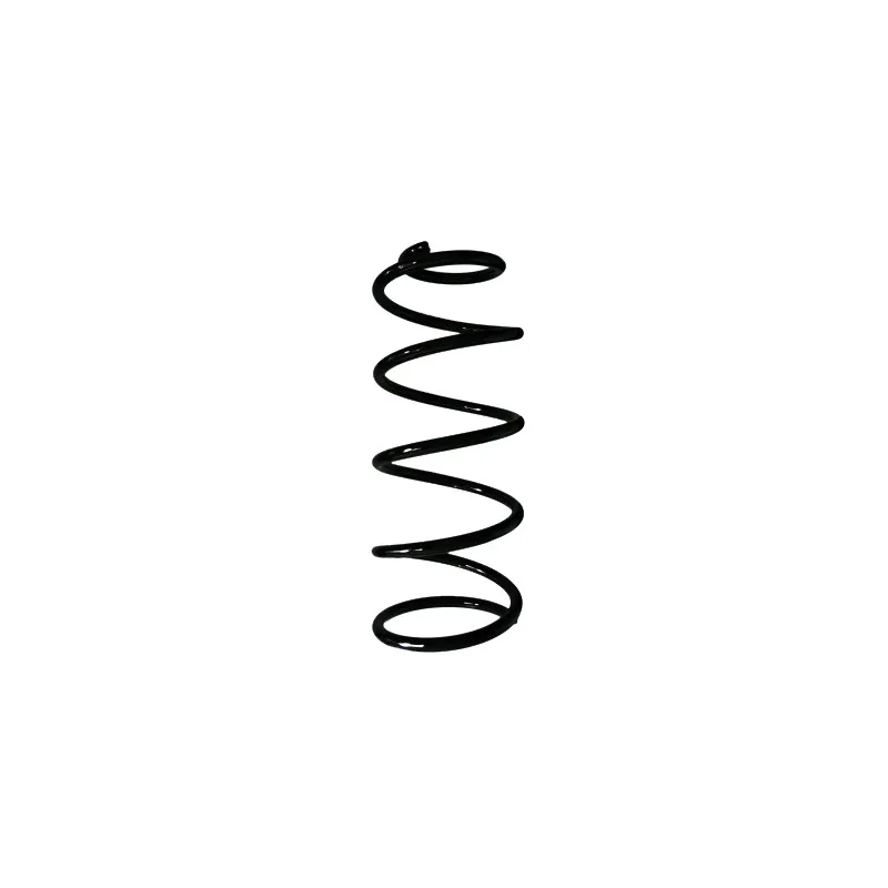 Ressort de suspension SPIDAN 49508