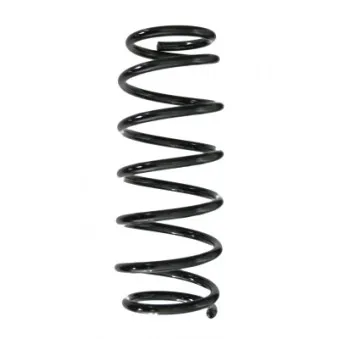 Ressort de suspension SPIDAN 49530