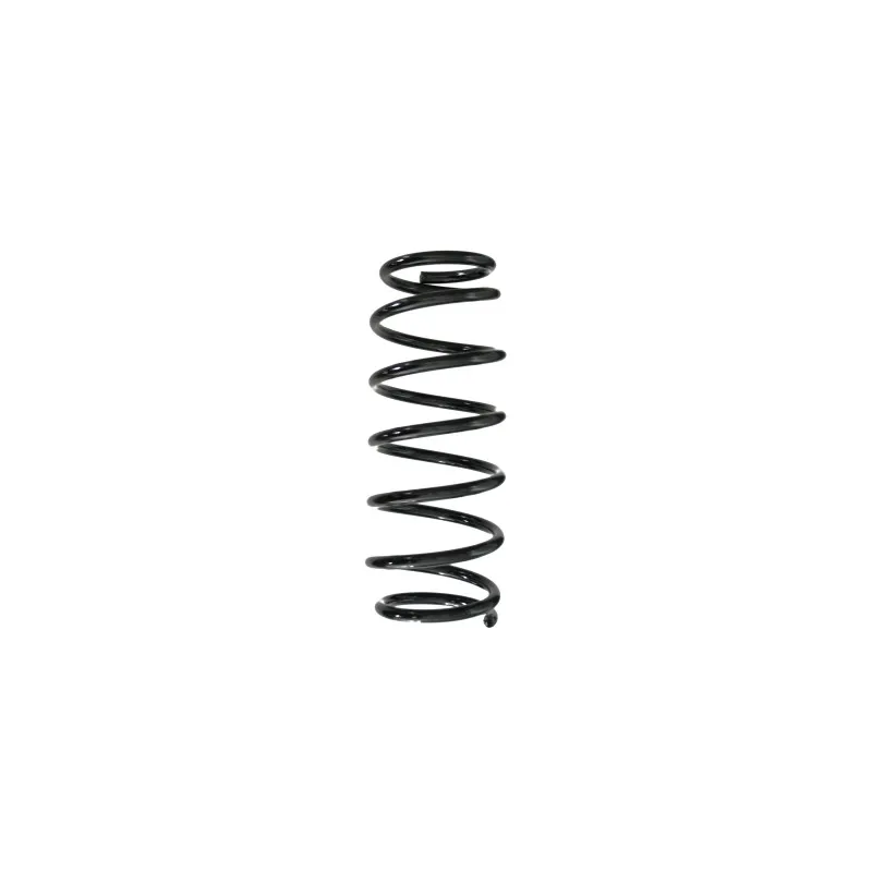 Ressort de suspension SPIDAN 49530
