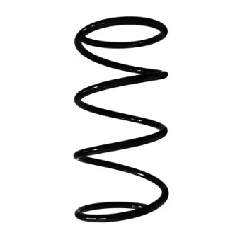 Ressort de suspension SPIDAN 49684