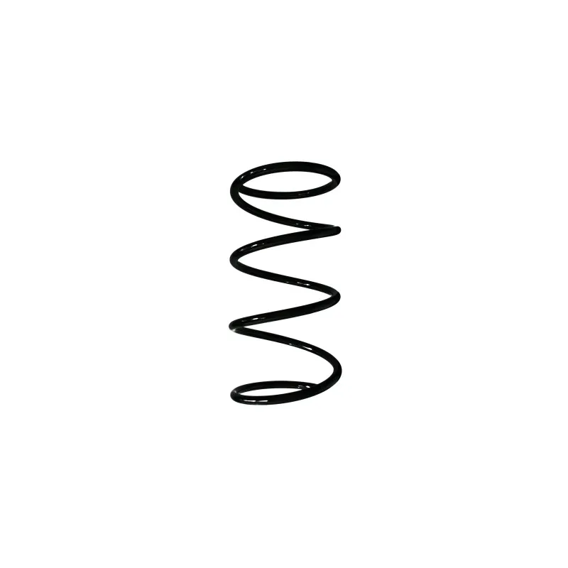 Ressort de suspension SPIDAN 49684