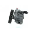 Pompe hydraulique, direction SPIDAN 54269 - Visuel 3