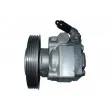 Pompe hydraulique, direction SPIDAN 54297 - Visuel 3