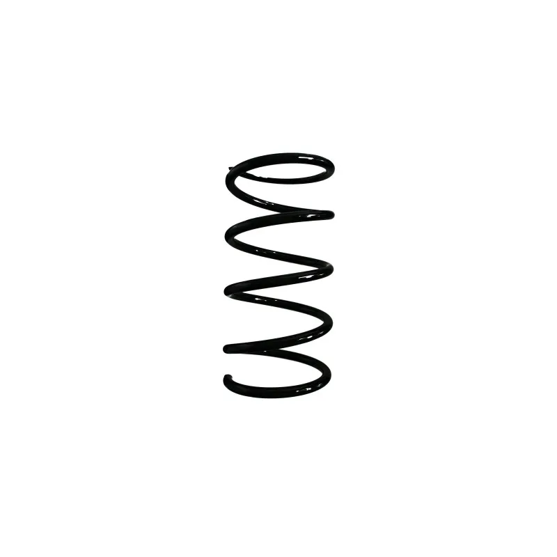 Ressort de suspension SPIDAN 55498