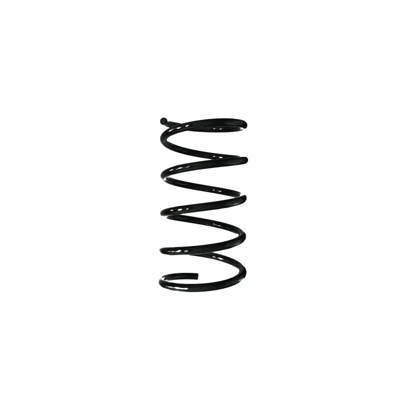Ressort de suspension SPIDAN 55511