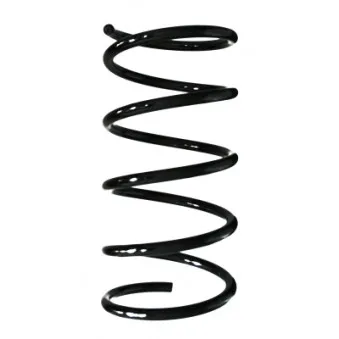 Ressort de suspension SPIDAN 55512