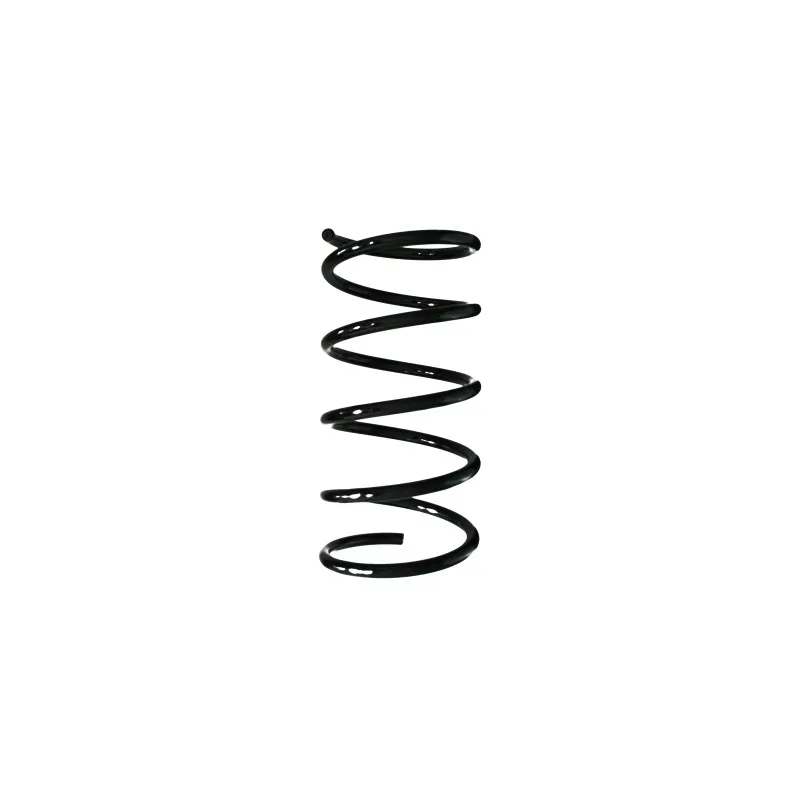 Ressort de suspension SPIDAN 55512
