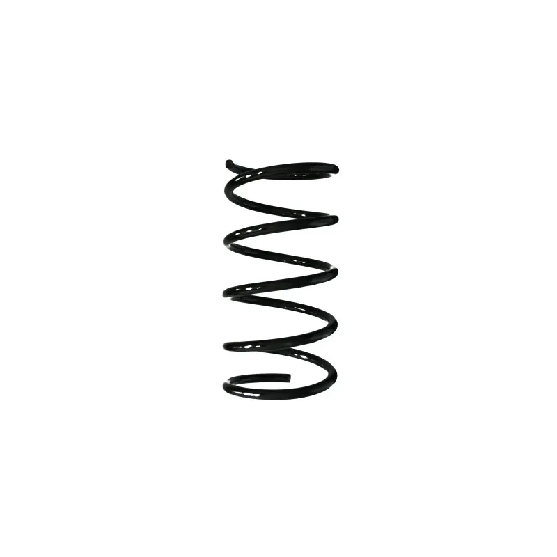 Ressort de suspension SPIDAN 55513