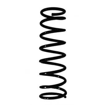 Ressort de suspension SPIDAN 55531