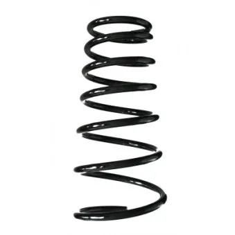 Ressort de suspension SPIDAN 55538