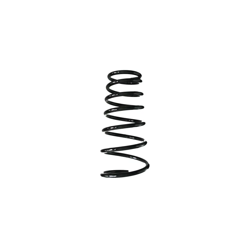 Ressort de suspension SPIDAN 55538