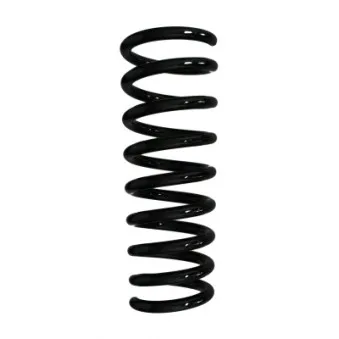 Ressort de suspension SPIDAN 55571