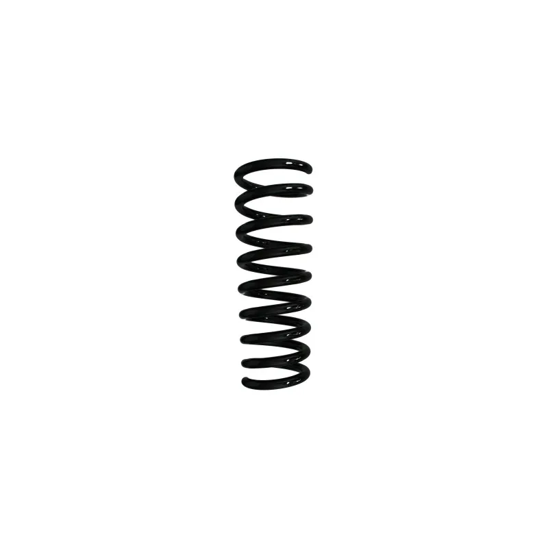 Ressort de suspension SPIDAN 55571