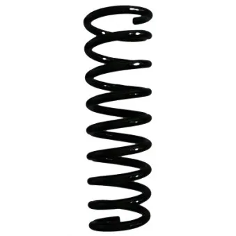 Ressort de suspension SPIDAN 55574