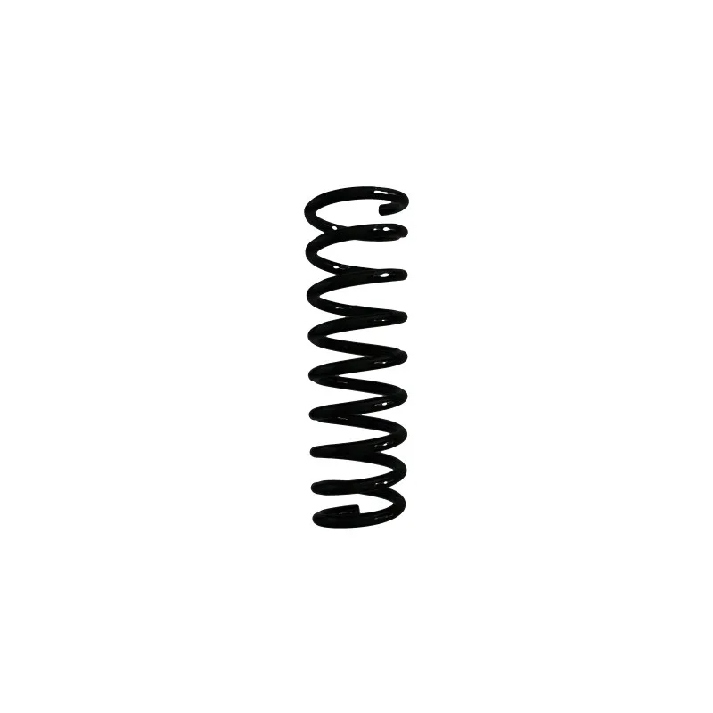 Ressort de suspension SPIDAN 55574