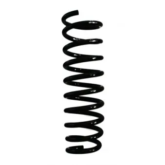 Ressort de suspension SPIDAN 55575