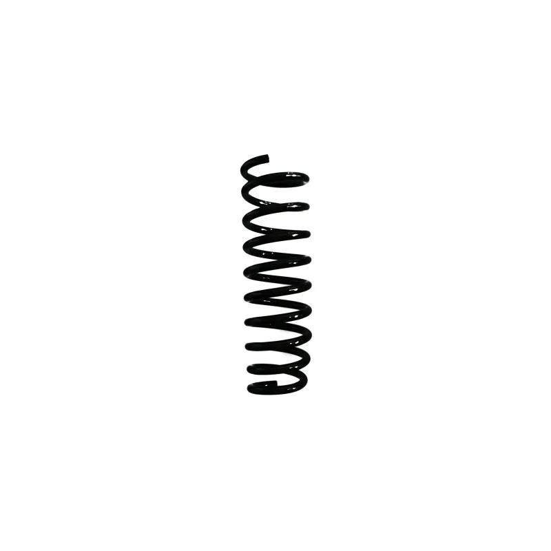 Ressort de suspension SPIDAN 55575