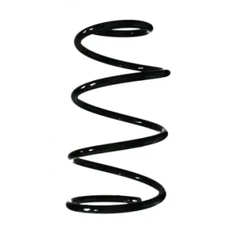 Ressort de suspension SPIDAN 55617