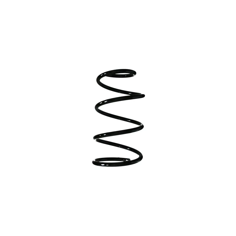 Ressort de suspension SPIDAN 55617