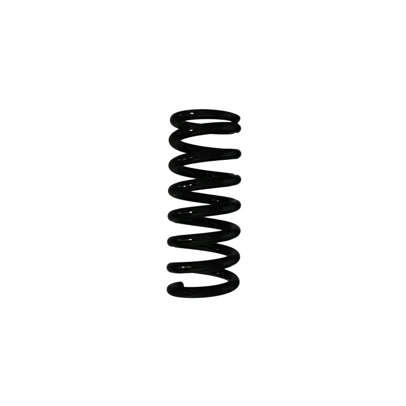 Ressort de suspension SPIDAN 55845