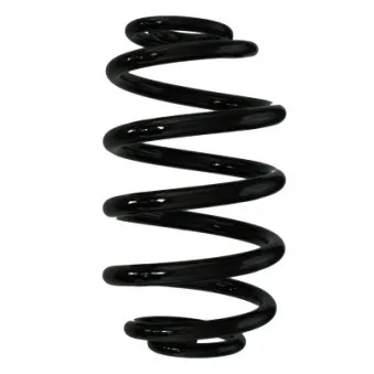 Ressort de suspension SPIDAN 56164