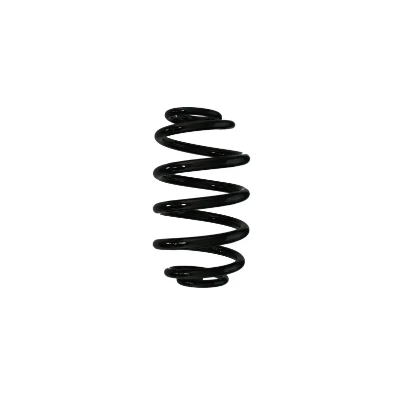 Ressort de suspension SPIDAN 56164