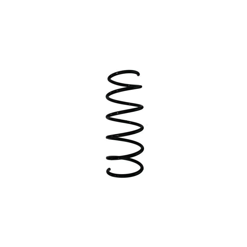 Ressort de suspension SPIDAN 56165