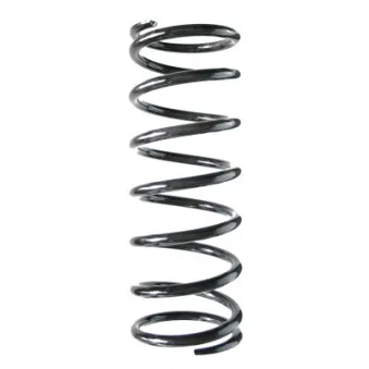 Ressort de suspension SPIDAN 56230