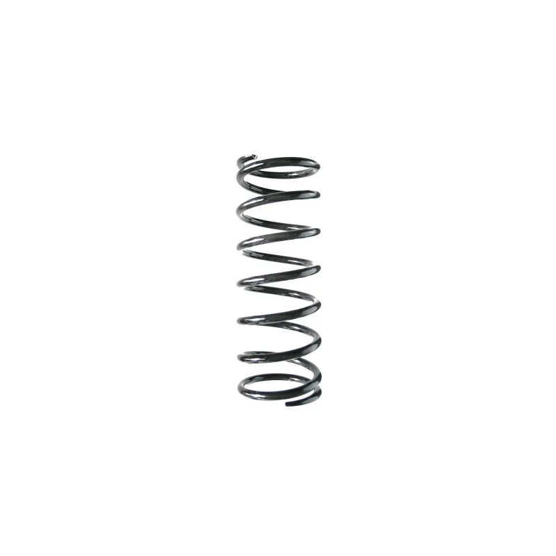 Ressort de suspension SPIDAN 56230