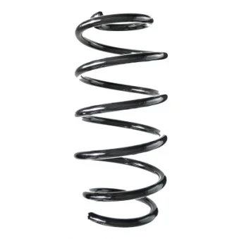 Ressort de suspension SPIDAN 56274