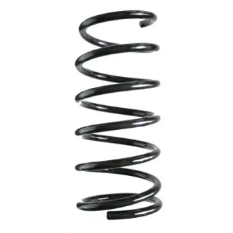 Ressort de suspension SPIDAN 56275
