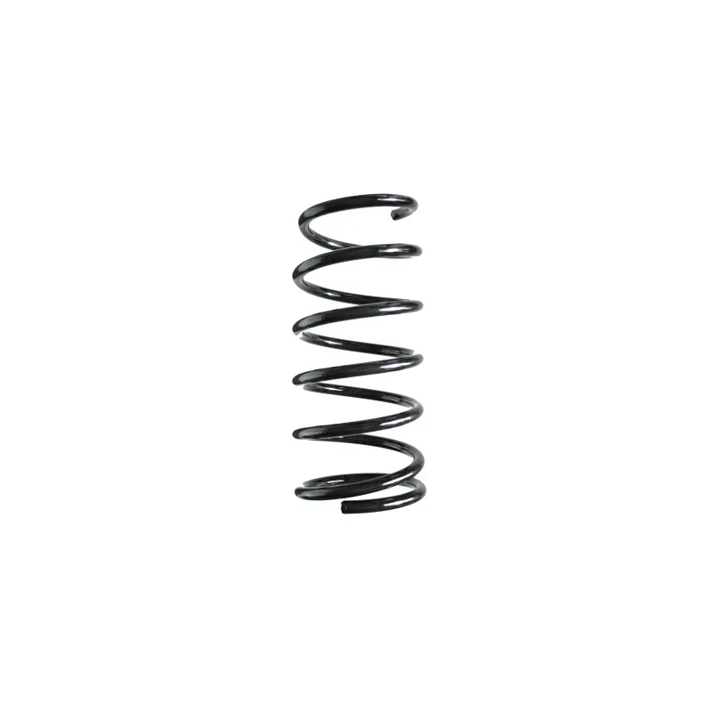 Ressort de suspension SPIDAN 56275