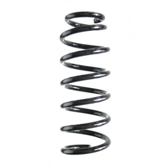 Ressort de suspension SPIDAN 56321