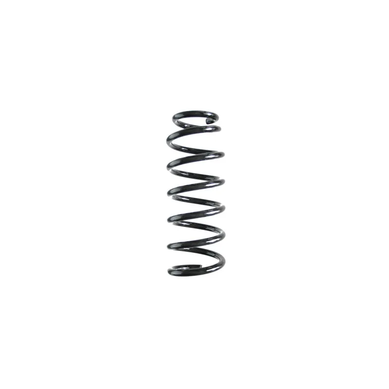 Ressort de suspension SPIDAN 56321