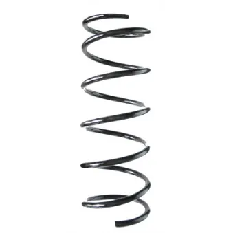 Ressort de suspension SPIDAN 56383