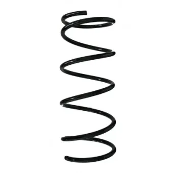 Ressort de suspension SPIDAN 56493