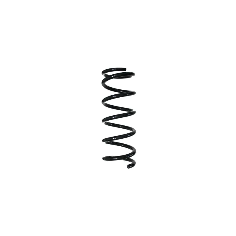 Ressort de suspension SPIDAN 56509