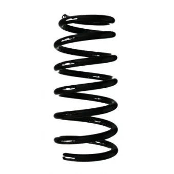 Ressort de suspension SPIDAN 56700