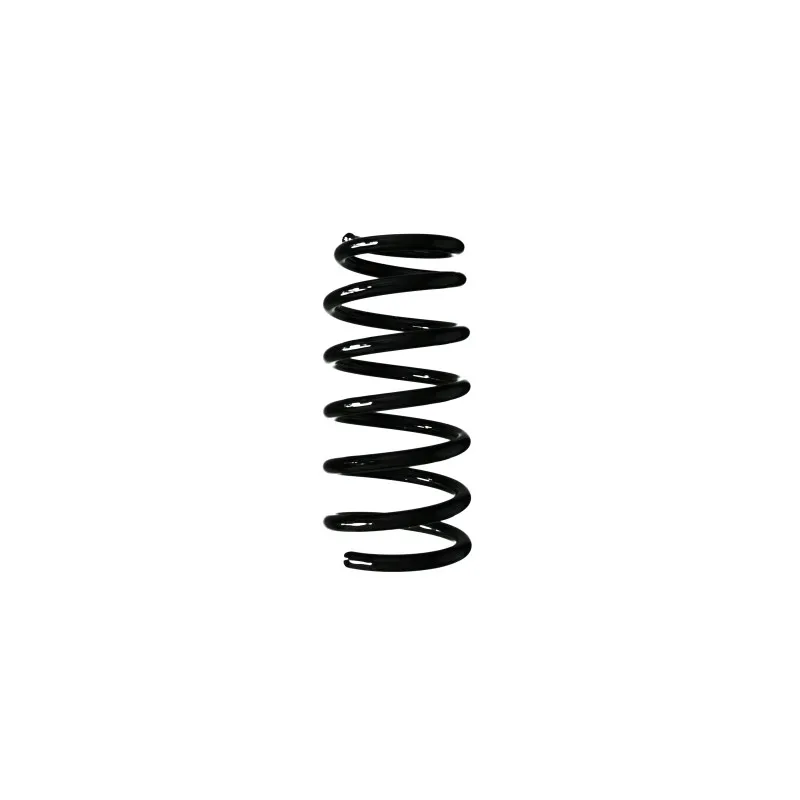 Ressort de suspension SPIDAN 56700