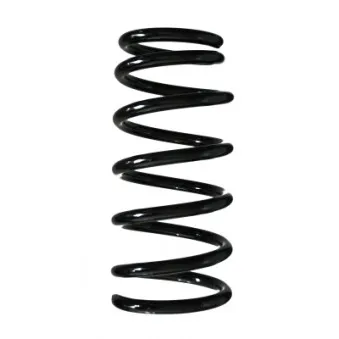 Ressort de suspension SPIDAN 56707