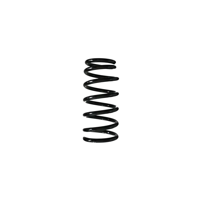 Ressort de suspension SPIDAN 56707