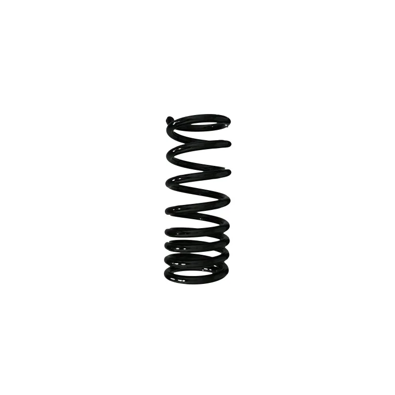 Ressort de suspension SPIDAN 56730